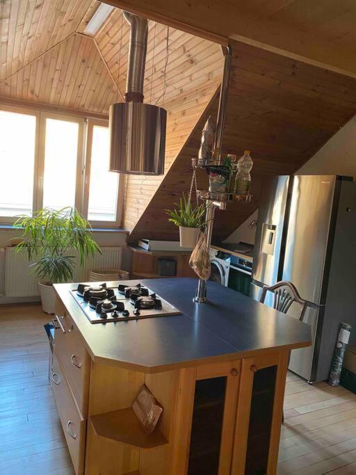 Rooftop 180M2 Loft With Private Sauna, Bratislava Eksteriør bilde
