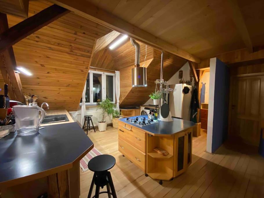 Rooftop 180M2 Loft With Private Sauna, Bratislava Eksteriør bilde